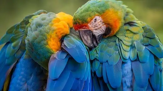 아빠 육아휴직 장려금 신청 방법