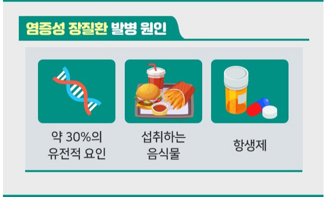 염증성 장질환 발병 원인 이미지