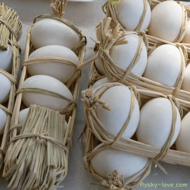 단백질 보충에 최고인 오리알