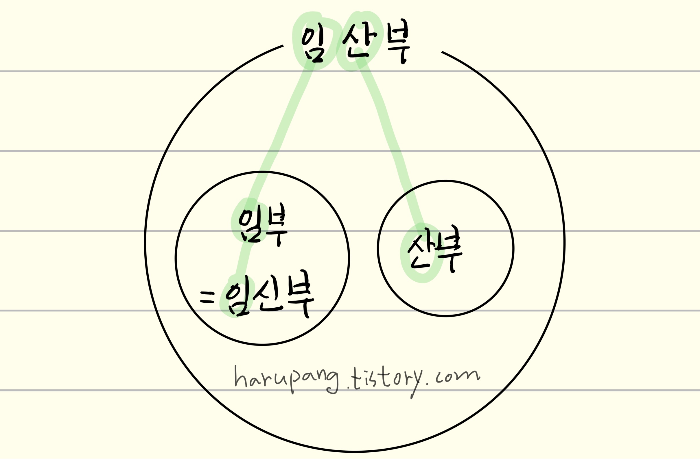 '임산부'와 '임신부'의 의미 차이를 벤 다이어그램으로 그린 것 .임산부는 임부와 산부를 아울러 부르는 말이고 , 임부와 임신부는 같은 뜻입니다.