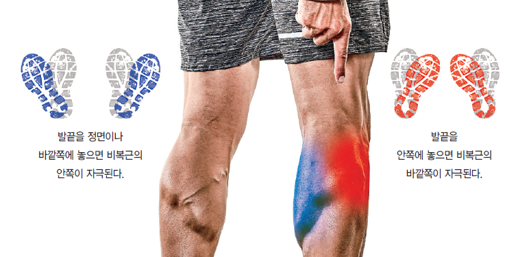 일반적으로 11자로 진행하세요