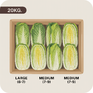 해남 절임배추 20kg 직거래 이미지