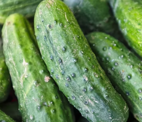 두통에 좋은 음식 영양제 식단