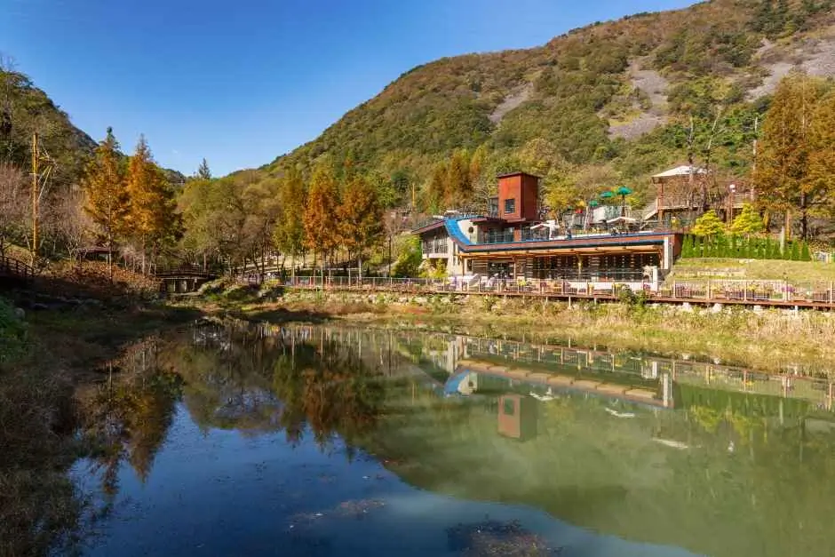 월아산-숲속의진주