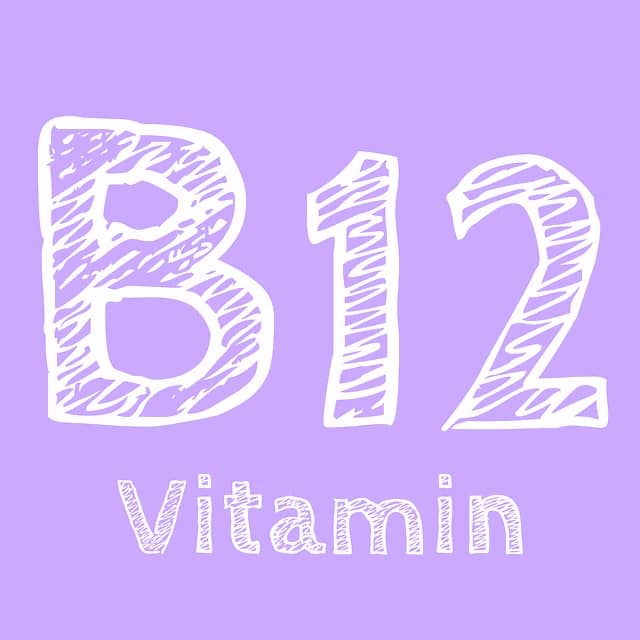 비타민B12 그림글자