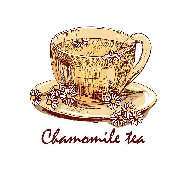 수분 보충용 허브티 루이보스티나 캐모마일티는 피부진정과 보습에 효과적