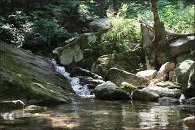  전남 장성 &lsquo;축령산 계곡&rsquo; 사진