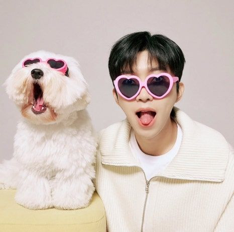 임영웅 DM 논란 진실 반려견 애완견 정치 발언 디엠 인스타