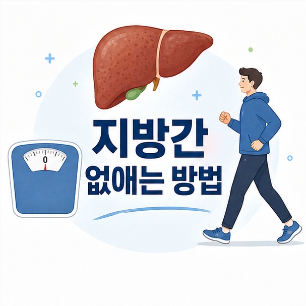 간과 체중계, 걷는 사람을 이용해 지방간 관리에는 체중과 생활습관 개선이 중요함을 보여주는 그림