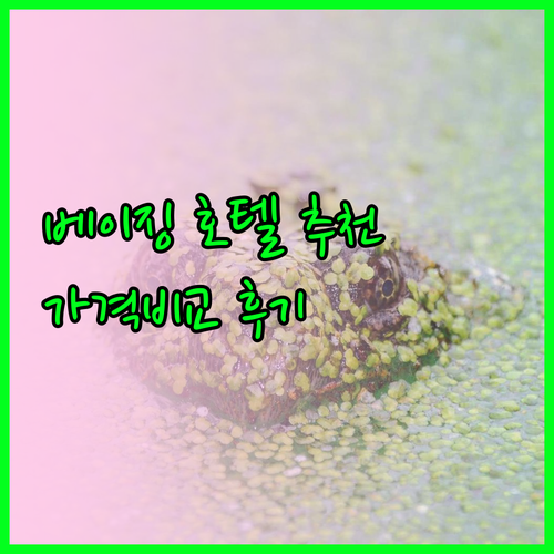 베이징 두자칸 호텔 추천 베스트 5 