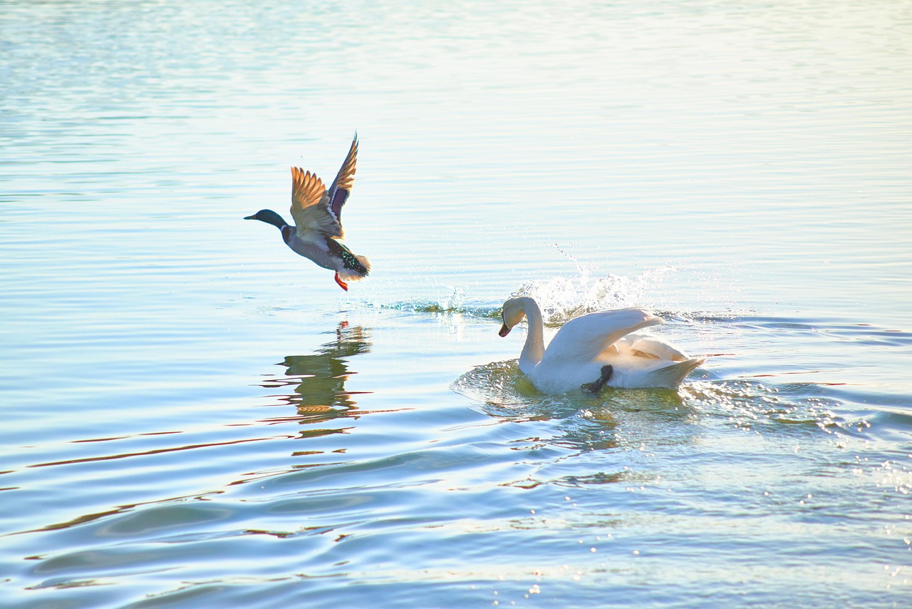 퇴직 후 생활비를 망가뜨리는 &lsquo;지출 미세 누수&rsquo;를 잡는 7단계 관찰법