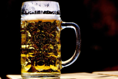 부산 센텀 맥주 축제