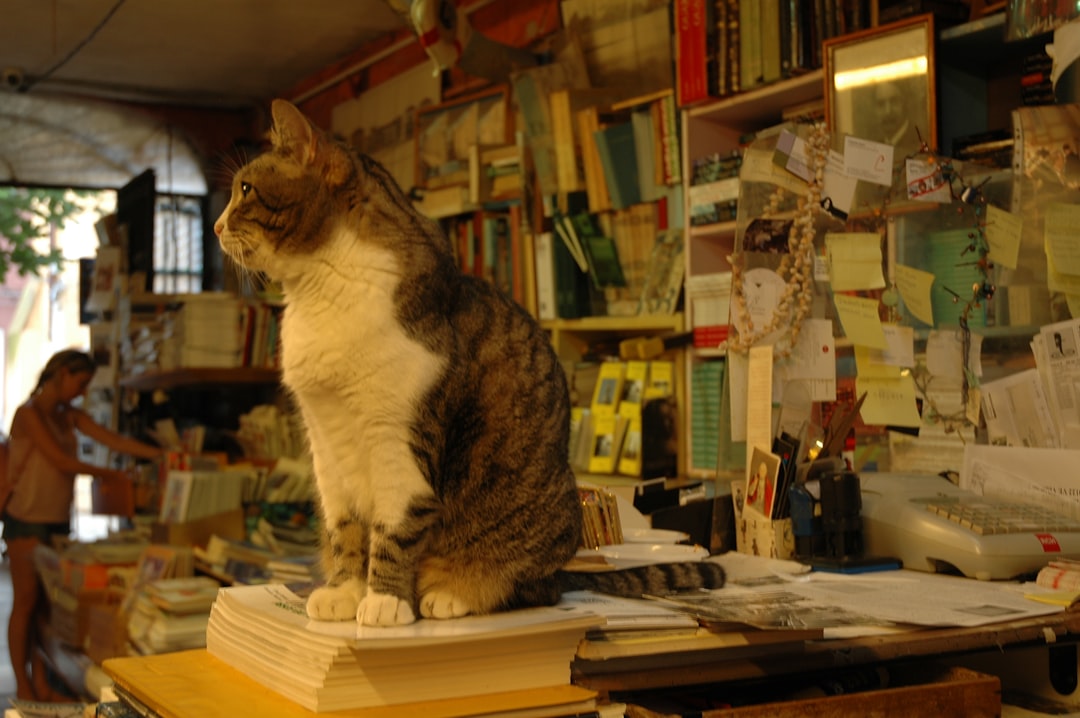Assistant