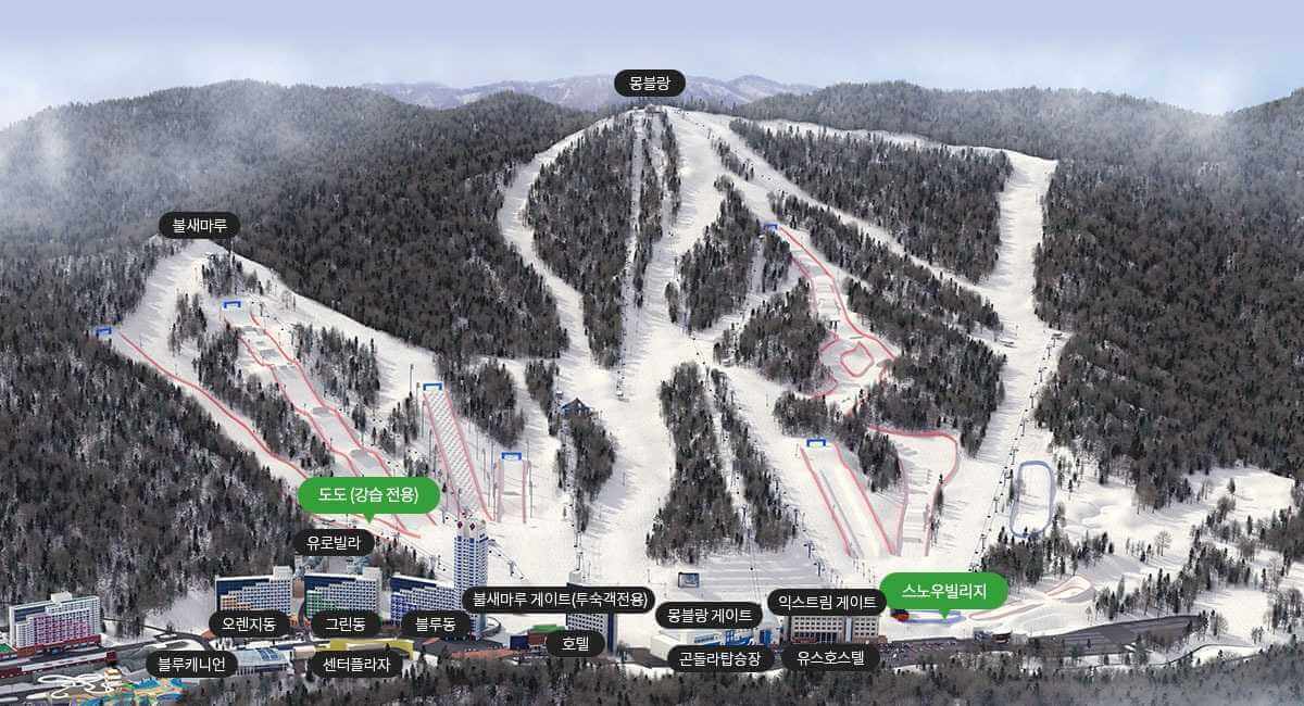 2025/2026 휘닉스파크 평창 스키장 시즌패스 완벽 가이드