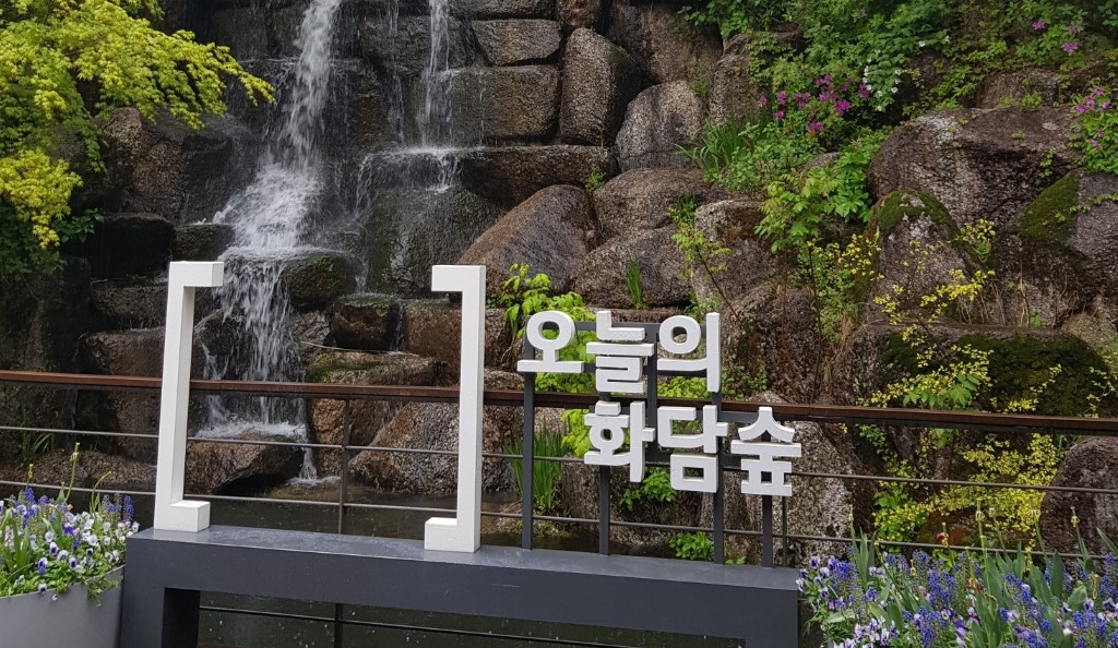 2026 화담숲 벚꽃 개화시기 놓치면 1년 기다림