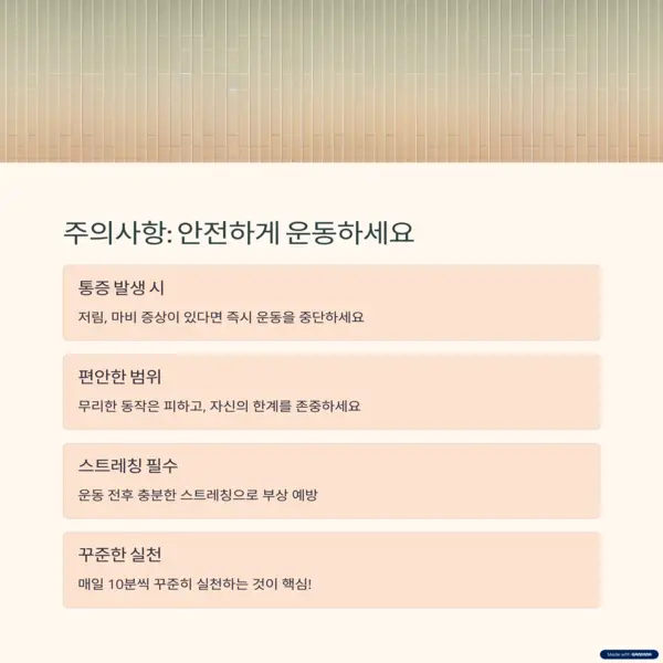 허리 통증 운동 시 안전을 위한 주의사항: 통증 발생 시 중단, 스트레칭 필수 강조