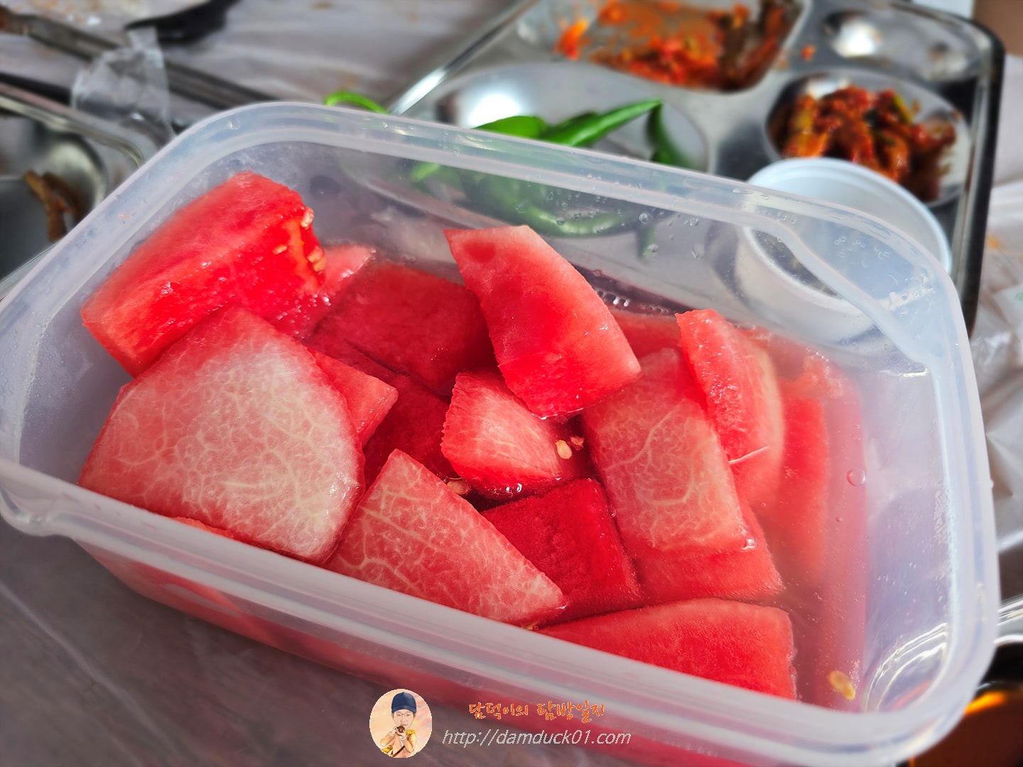 바베큐캠프닉868.3