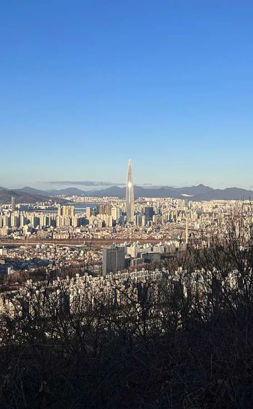 대모산