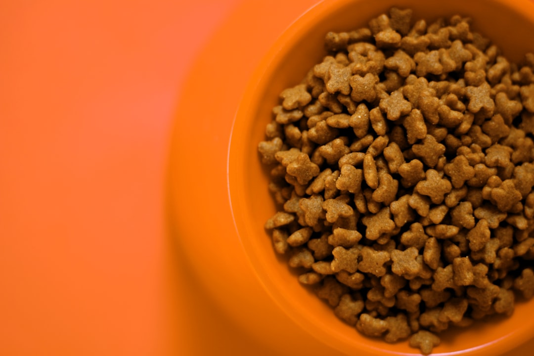 Pet food