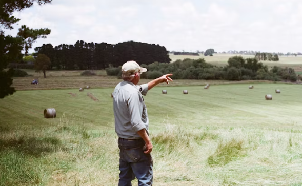 영농자녀 상속공제