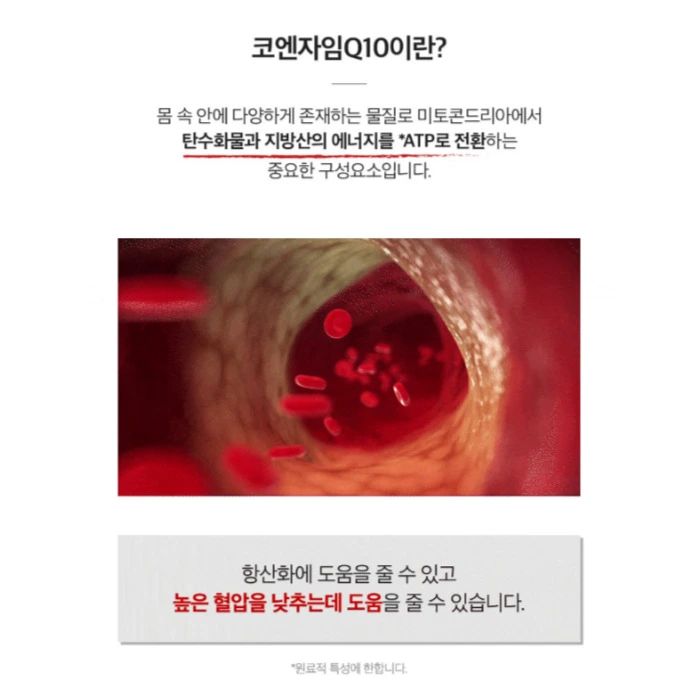 본투비맨 본투식스 내돈내산 후기 부작용 효능 먹는법 다이어트 효과