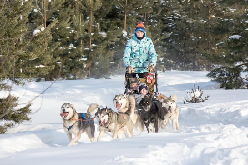 북유럽 라플란드 개썰매 투어 예약 가이드 ❘ 가격&middot;코스&middot;소요시간 비교