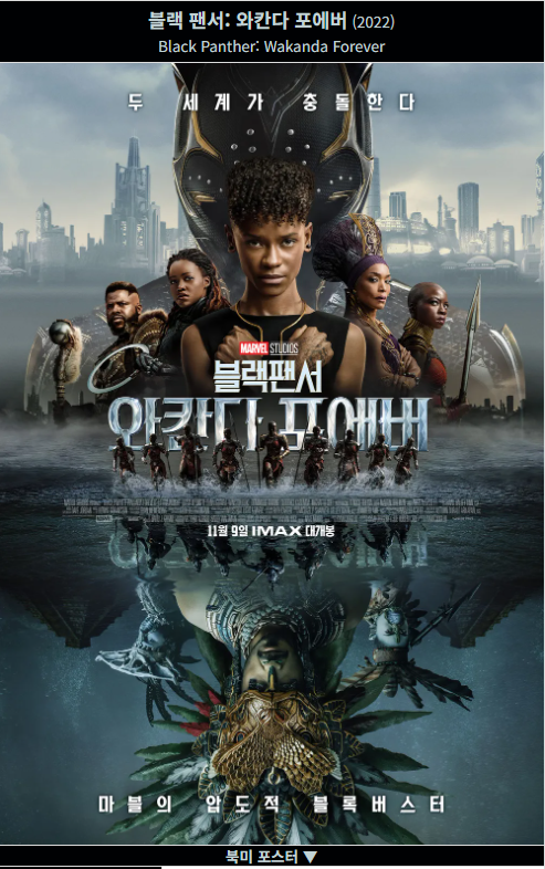 블랙 팬서: 와칸다 포에버 (Black Panther: Wakanda Forever, 2022) 포스터 사진