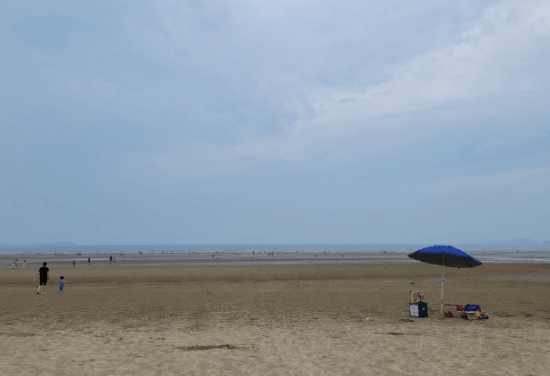 드넓은-해수욕장전경