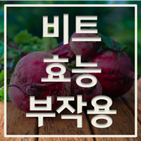 비트 효능 부작용