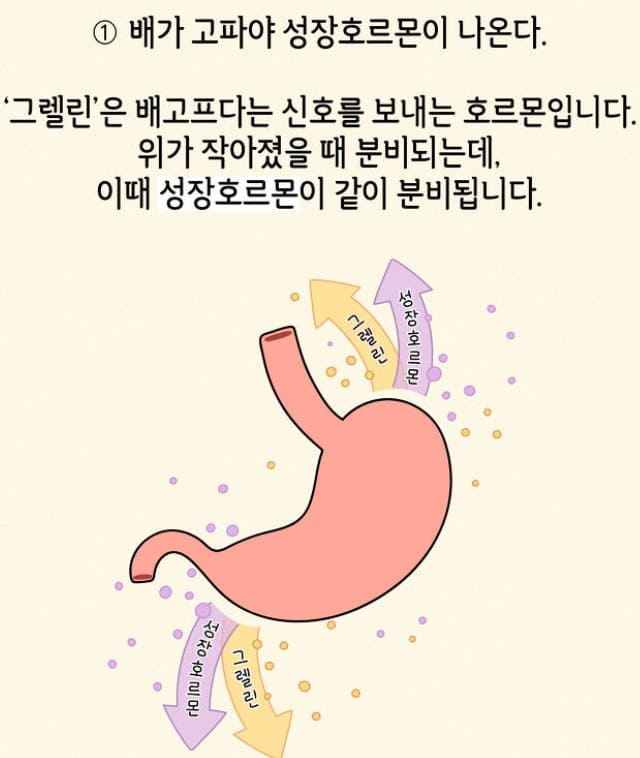 키 크는 영양제 추천&amp;#44; 키 크는 마사지&amp;#44; 키 크는 식사 법