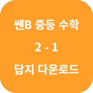 쎈B 중등 수학 2-1 답지 섬네일