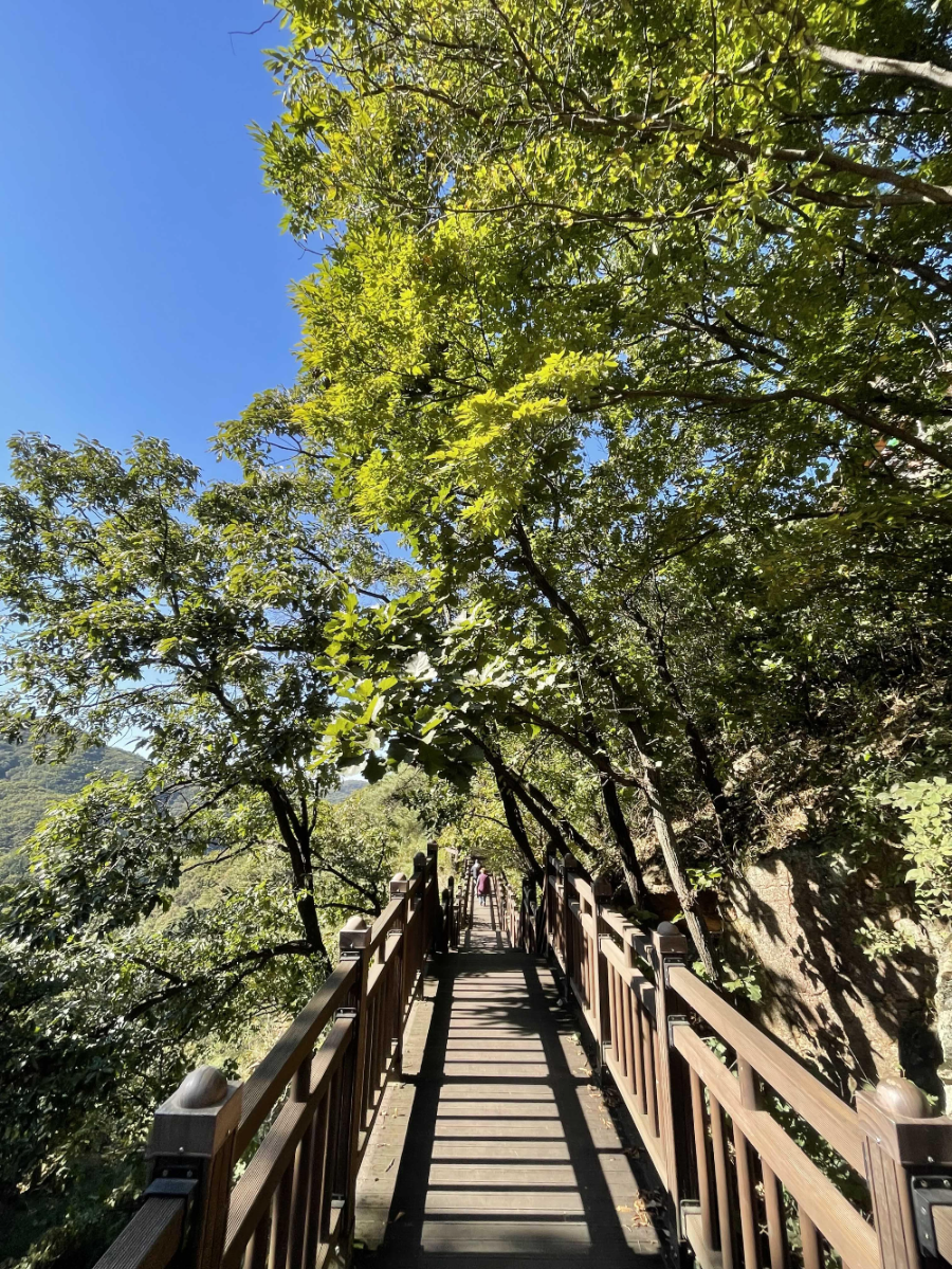 파주 감악산 출렁다리