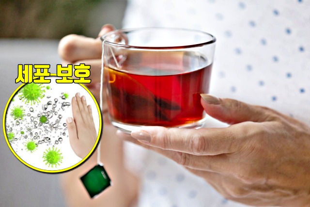 만성 염증 치료에 좋은 음식 차, 홍차 녹차