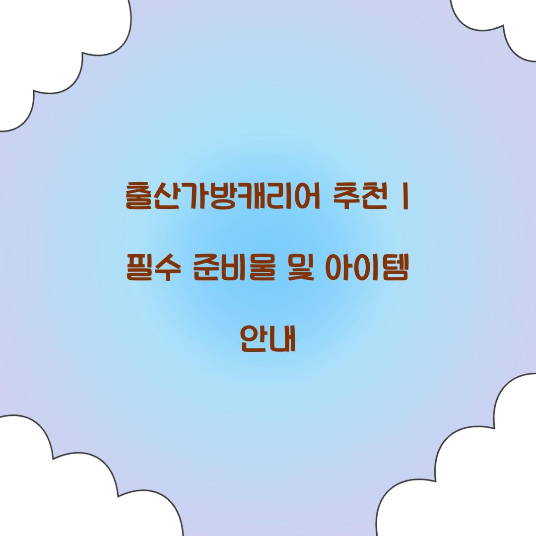 출산가방캐리어 추천