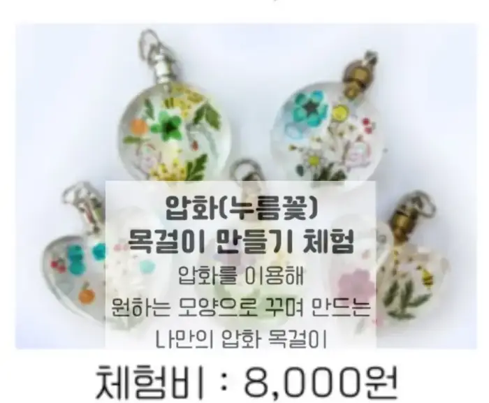 율봄식물원 봉선화시즌 압화