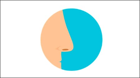 코 일러스트