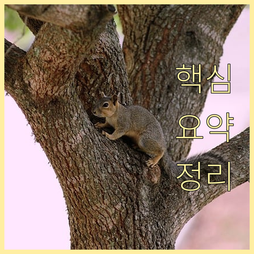 용두동 쓰레기 배출 요일 시간 일반 ..