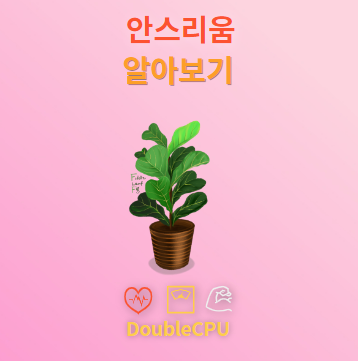 안스리움 탐구
