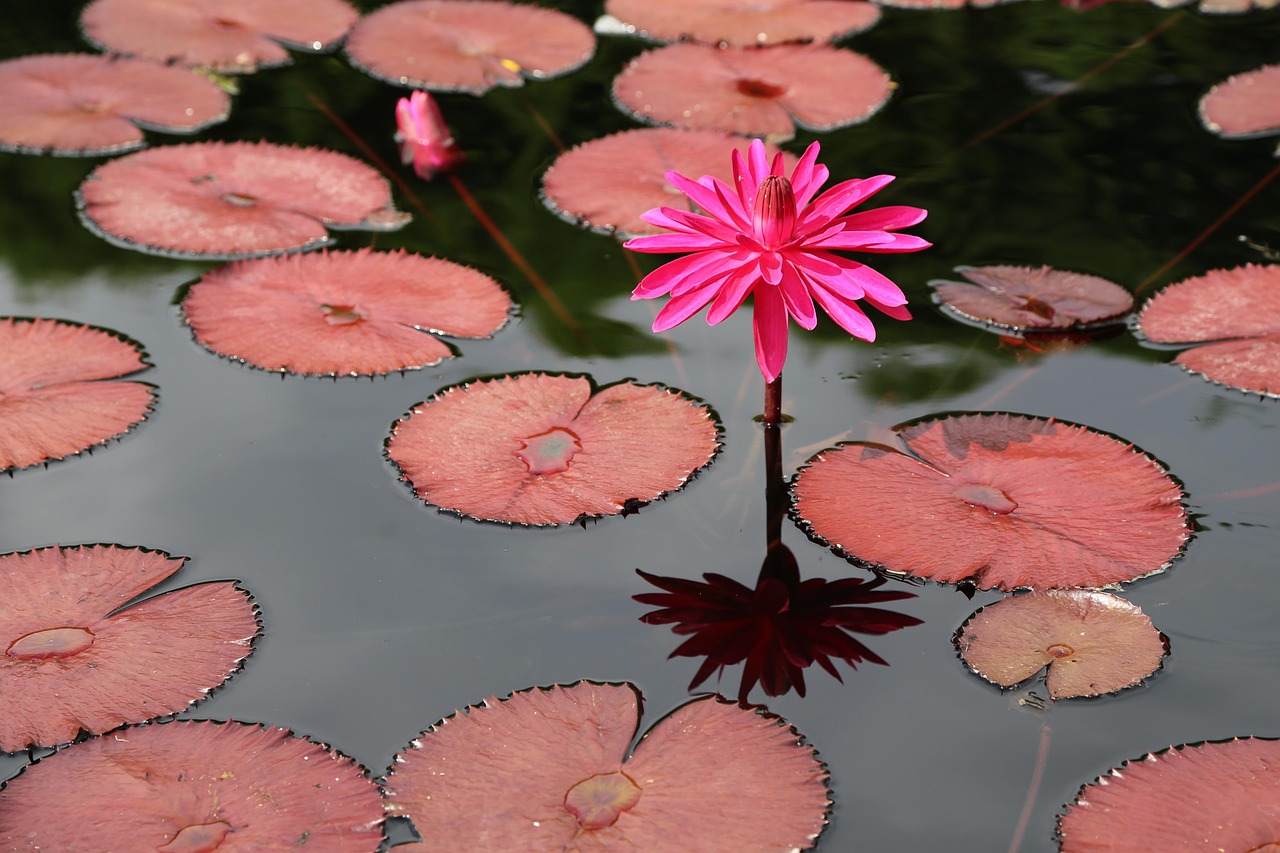 대한민국 옥천 여행 사진