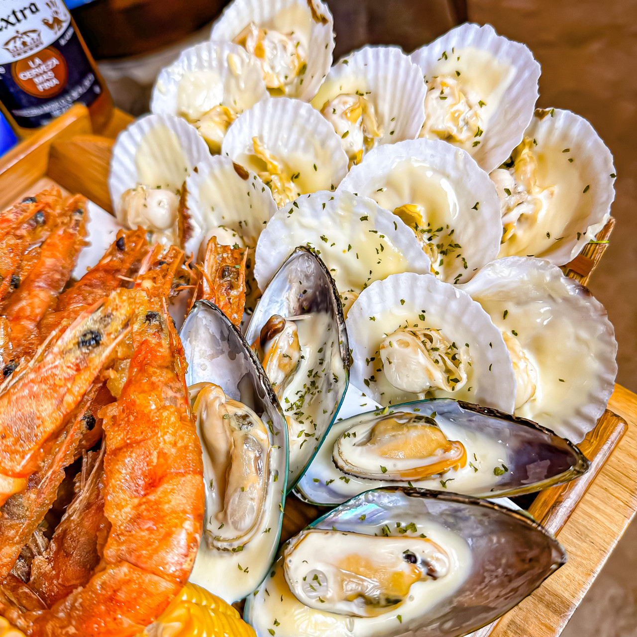 제주 성산 코코마마