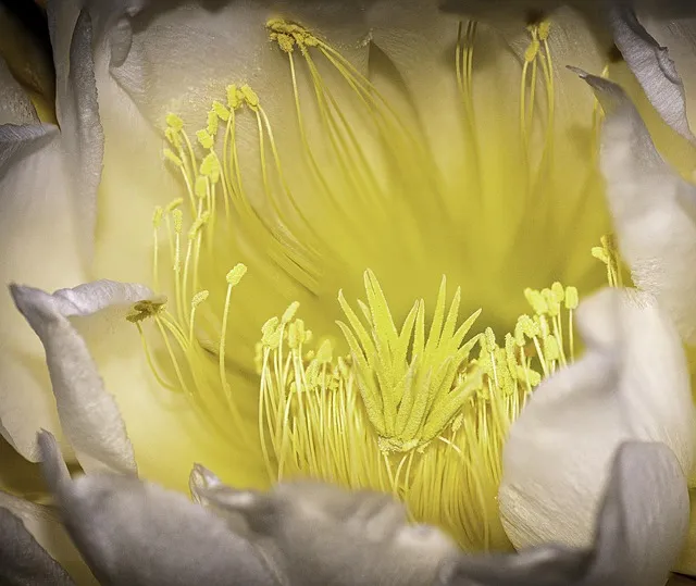 니체 차라투스트라는 이렇게 말했다 해석과 사상적 의미_2