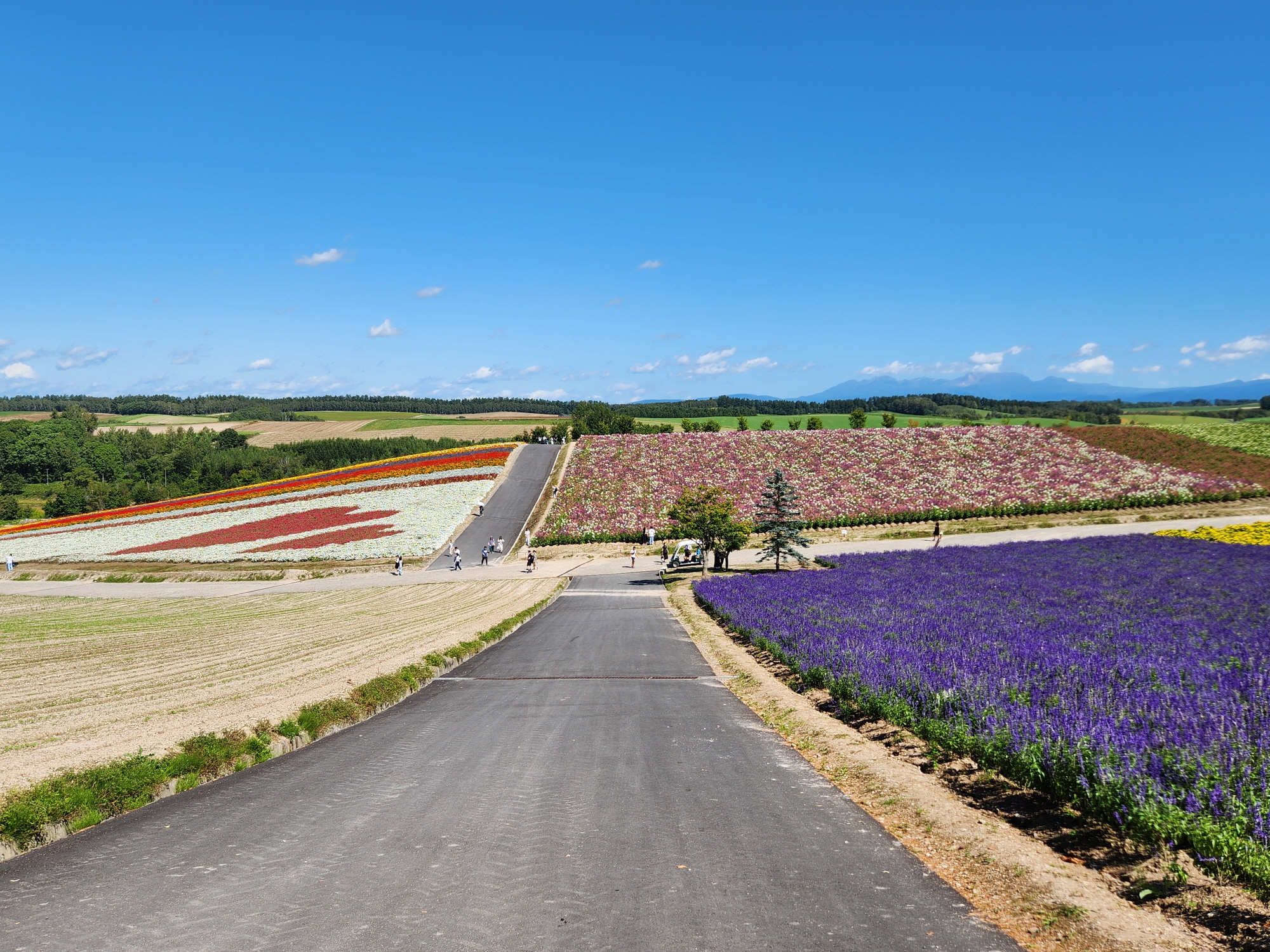 사계체 언덕 - 26