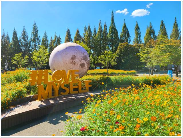 고양 가을꽃축제