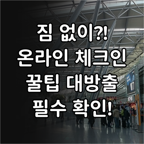 위탁수하물 없는 경우 온라인 체크인 ..