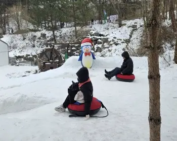 태백 눈꽃축제, 겨울축제_11