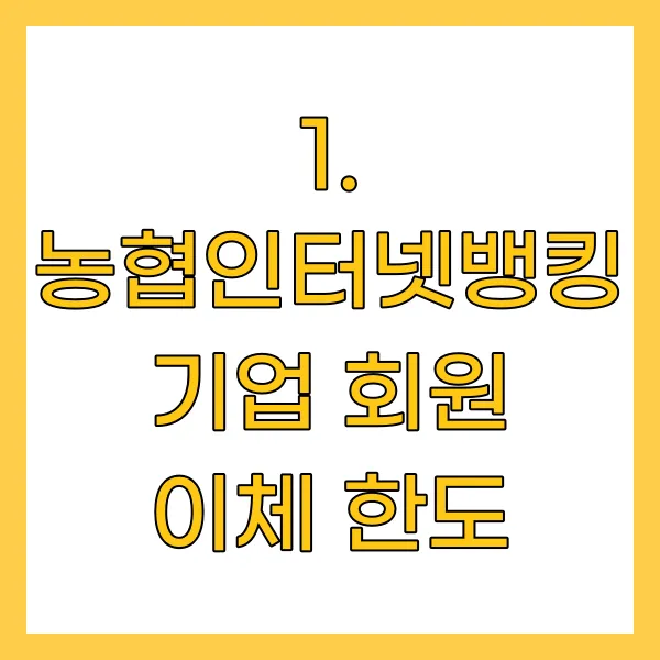 기업 회원 이체 한도