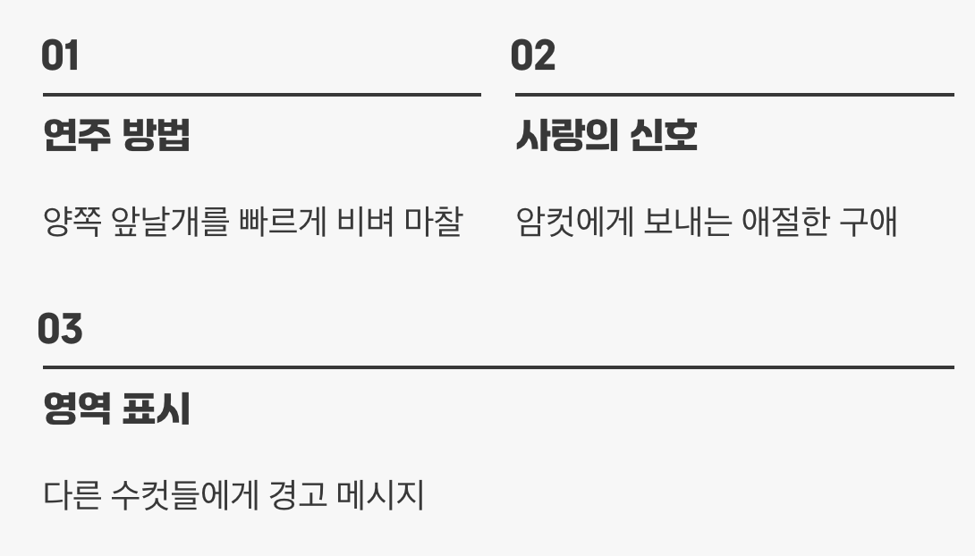 왜 이토록 시끄럽게 울까?