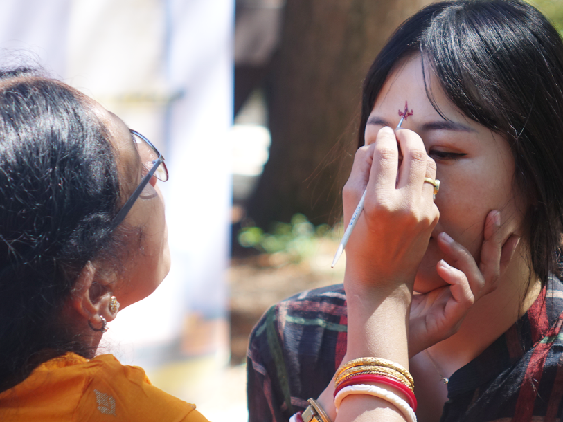 [5월 축제]2025 남이섬 세계책나라축제❘기본정보, 주요프로그램, 입장권, 교통편, 추천코스 정리