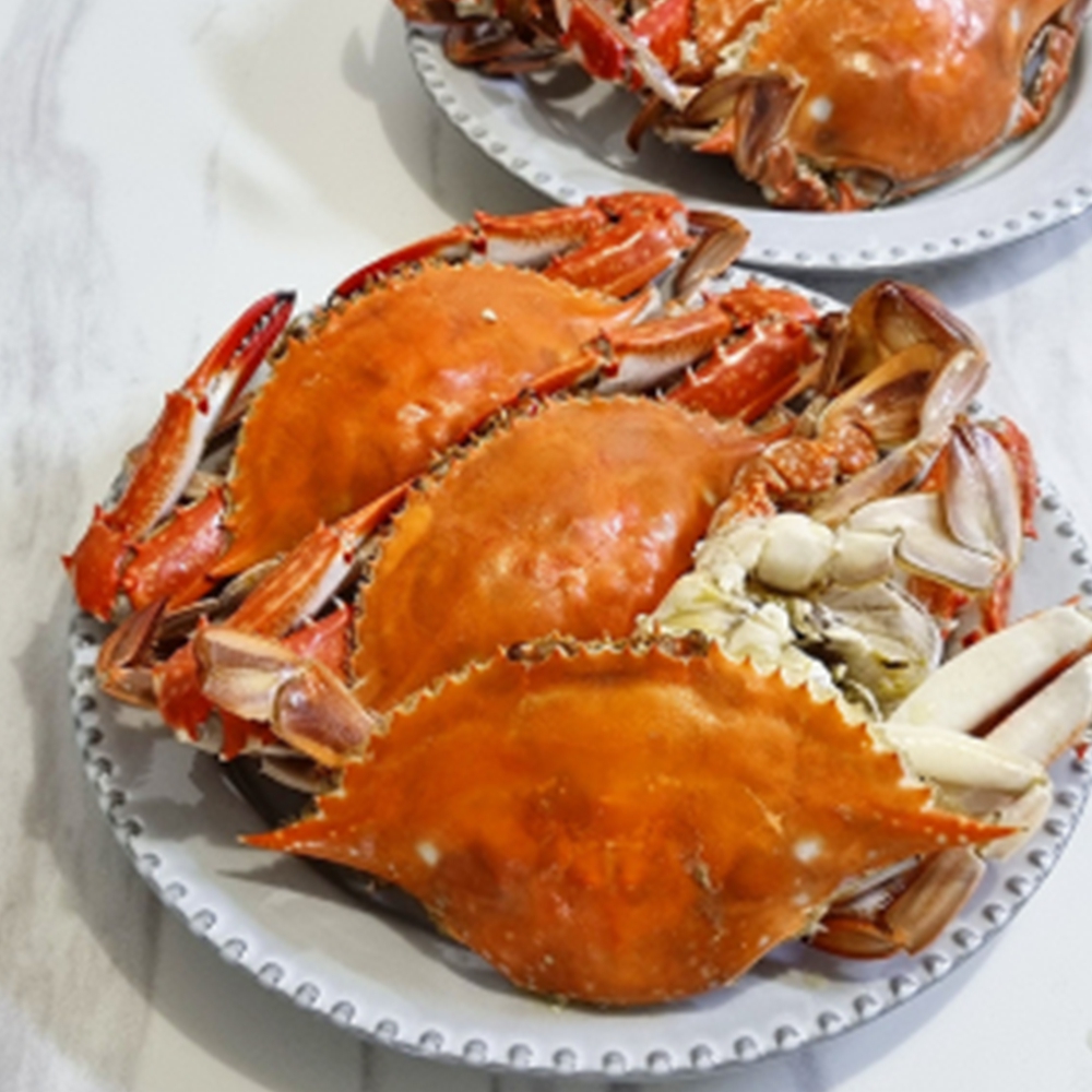 꽃게