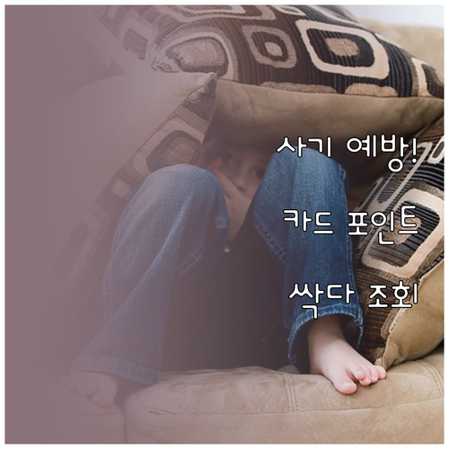 금융 사기 막는 카드 포인트 통합 조..